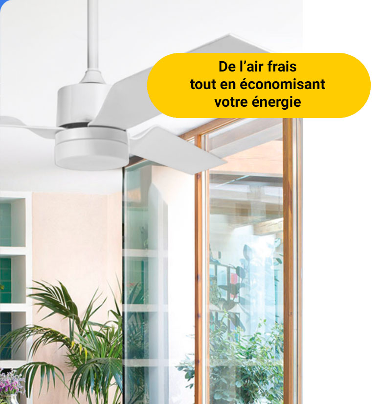 Brasseur d'air